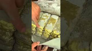 We found a treasure trove 😱🤑  metaldetecting find gold coin ytshorts shorts treasurehunters [upl. by Dweck]