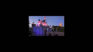 See Footage Of Intense Disneyland Crowds After Reports Attendance Had Been Softening [upl. by Fillbert97]