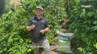 AgroConectandoConDATI ¿Deficiencias nutricionales cultivos de café [upl. by Arimas328]