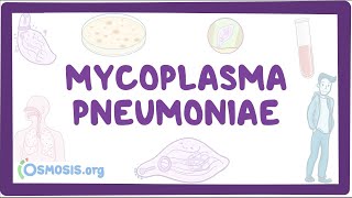 Mycoplasma pneumoniae  an Osmosis Preview [upl. by Arul]