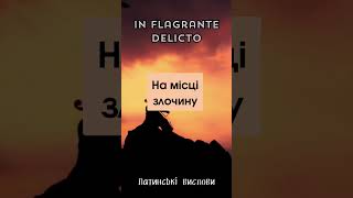 IN FLAGRANTE DELICTO Латинські вислови цитата цитатадня [upl. by Gerstner]