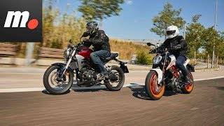 Comparativo Honda CB300R vs KTM 390 Duke  Primera Prueba  Test  Review en español [upl. by Felike]