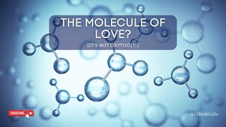 What is the quotLove Moleculequot Hint its NOT Oxytocin [upl. by Gracia]