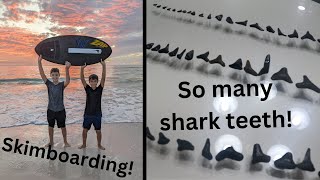 Skimboarding And Shark Teeth In Florida [upl. by Montagna]