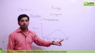 Matric part 1 Biology Factors Affecting the Rates of Enzymes Action  Ch 6 9th Class Biology [upl. by Adnal]