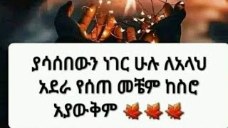 የሳሰበዉን ነገር ሁሉ ለአላህ አደራ የሠጠ መቼም ከስሮ አያወቅም [upl. by Allesiram]