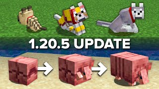 Minecraft 1205 Update Explained in 5 Minutes [upl. by Nylitak]