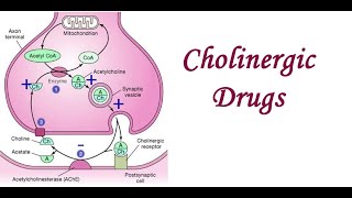 cholinergic drugs part 2 [upl. by Drwde]