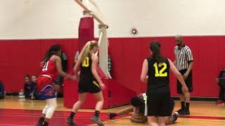 Highlights of 1 Nation Elite vs Michigan Mystics Dream Team at April Showers Classic [upl. by Zeret]