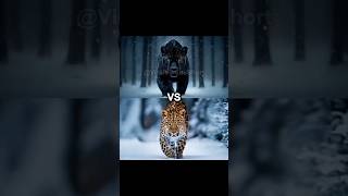 Epic Wild Animals Versus [upl. by Garihc]