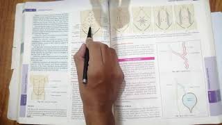 Easy Anatomy of Umbilicus Urdu amp Hindi  Anterior Abdominal Wall [upl. by Akcire]