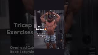 TRICEP EXERCISES  The Best Exercises For Bigger Triceps triceps [upl. by Navanod669]