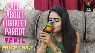 ALL ABOUT LORIKEET PARROT PETSPSYCHO TAMIL [upl. by Chute]