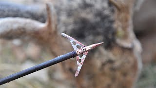 Top 7 Best Mechanical Broadheads For Crossbow To Buy in 2023 [upl. by Namzaj743]