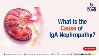 IgA Nephropathy Cause  What is the Cause of IgA Nephropathy  iganephropathy [upl. by Bathsheb]