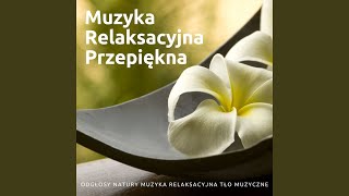 Muzyka dla Pozytywnej Energii [upl. by Marguerite]