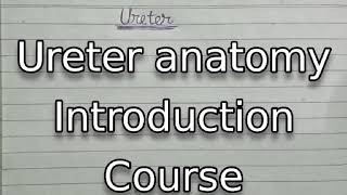 Ureter anatomy  course [upl. by Mcgregor]