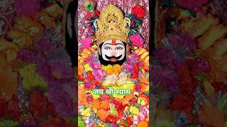 🏵️Teri chinta harne Wale Baba Shyam hai 🌼babashyam khatushyam khatuwale viralvideo shortsfeed 🙏 [upl. by Sudderth]