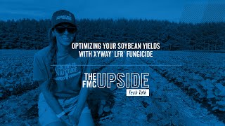 Optimizing Your Soybean Yields With Xyway® LFR® Fungicide [upl. by Rim]