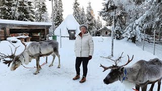 Lapland Experience 2023 Ruka Kuusamo [upl. by Hoye]