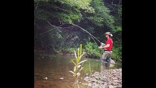 Buffalo Creek Delayed Harvest catchmebythewater [upl. by Aubry]