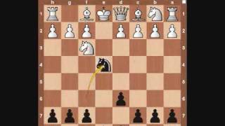 Chess Openings Petrov Defense [upl. by Hgielrahc]