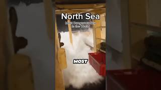 The most dangerous sea northsea waves ocean [upl. by Anitra415]