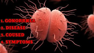 GONORRHEA DISEASE CAUSED SYMPTOMS foryou newvideo subscribe youtube youtuber youtubeshorts [upl. by Oludoet]