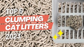 Top 5 BEST Clumping Cat Litter Brands 2023 [upl. by Dnomsed]