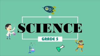 DEMO TEACHING IN SCIENCE GRADE 3 IDENTIFYING THE PLANT PARTS Using Detailed Lesson Plan 7Es [upl. by Sulohcin]