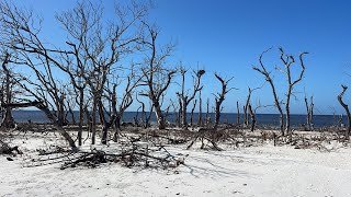 Cayo Costa Post Hurricane Milton [upl. by Sellma573]