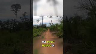 MTB Training Circuit at Sadlers Creek mountainbiking explore adventure cycling nature [upl. by Fafa]