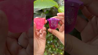 Lychee…🍭🥵… Jellies😱😱 best jelly shorts malayalam shortvideo [upl. by Tansy435]