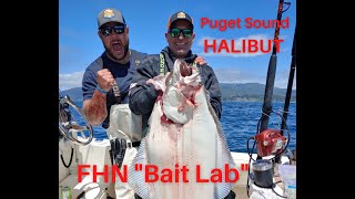 FHN quotBait Labquot HowTo Puget Sound Halibut [upl. by Gnilyam]