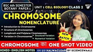 Chromosome Structure amp Function  Chromosomal Nomenclature BSc 6th semester Paper 1 Unit 1 🔥 [upl. by Ris]