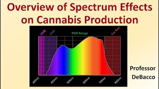 Overview of Spectrum Effects on Cannabis Production [upl. by Nennek]