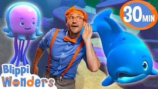 Blipppis Dolphin Adventure  Blippi amp Blippi Wonders Educational Videos for Kids [upl. by Alfred]