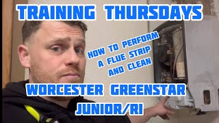 How to Full Service The Worcester Greenstar Junior and RI Training Thursdays [upl. by Solrac]