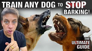 How To STOP Any Dog From Excessive Barking The Ultimate Guide [upl. by Narag]