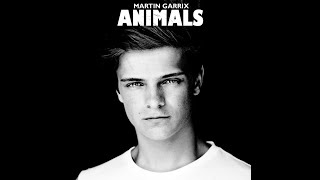 Martin Garrix  Animals Extended Version [upl. by Acinnad]