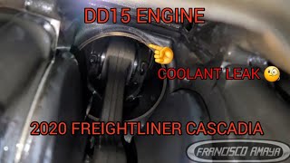 2020 FREIGHTLINER CASCADIA DD15 ENGINE WITH A DAMAGE ENGINE BROKEN CYLINDER LINER WATER IN OIL [upl. by Alvinia]