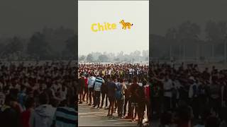 1600mtr open competition bhim stadium bhiwani trending viralvideo running jatinyadav05 [upl. by Ax283]