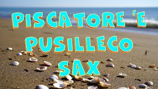 Piscatore e Pusilleco original sax version by Mauro Tudino [upl. by Nmutua]