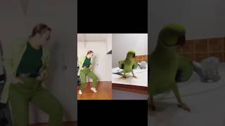 Awesome DarkStar05Z shortvideo shorts short subscribe trending trendingshorts parrot [upl. by Rafaello]