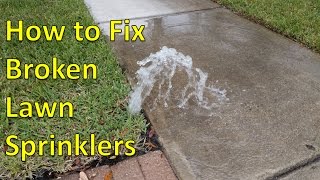 How to Fix Broken Sprinkler Heads [upl. by Ras841]