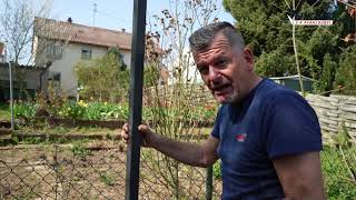 Einen Gartenzaun aufstellen mit Mark Kühler und Quikset Pro [upl. by Eux]