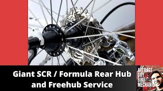 Giant SCR  Formula Hub Service amp Freehub Rebuild [upl. by Enyawad]