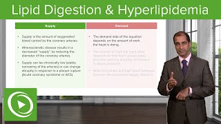 Lipid Digestion amp Hyperlipidemia – Cardiovascular Pathology  Lecturio [upl. by Annairam543]