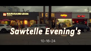 145 minutes of Sawtelle [upl. by Festus]