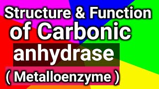 structure amp function of Carbonic anhydrase Metalloenzyme [upl. by Hereld]